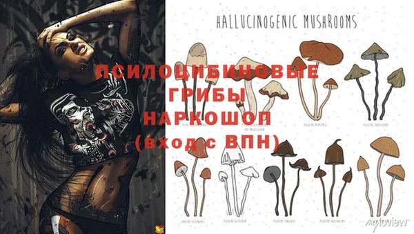 стаф Куйбышев