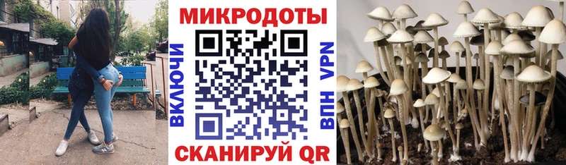 Галлюциногенные грибы GOLDEN TEACHER  что такое наркотик  hydra сайт  Владикавказ 