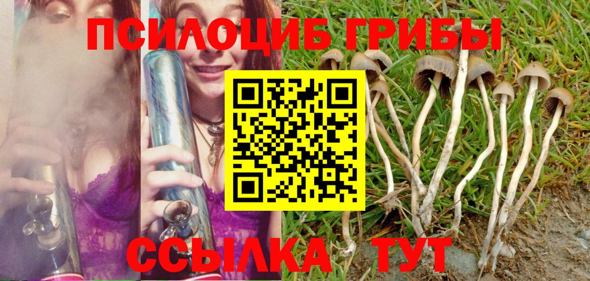 Галлюциногенные грибы мухоморы Владикавказ